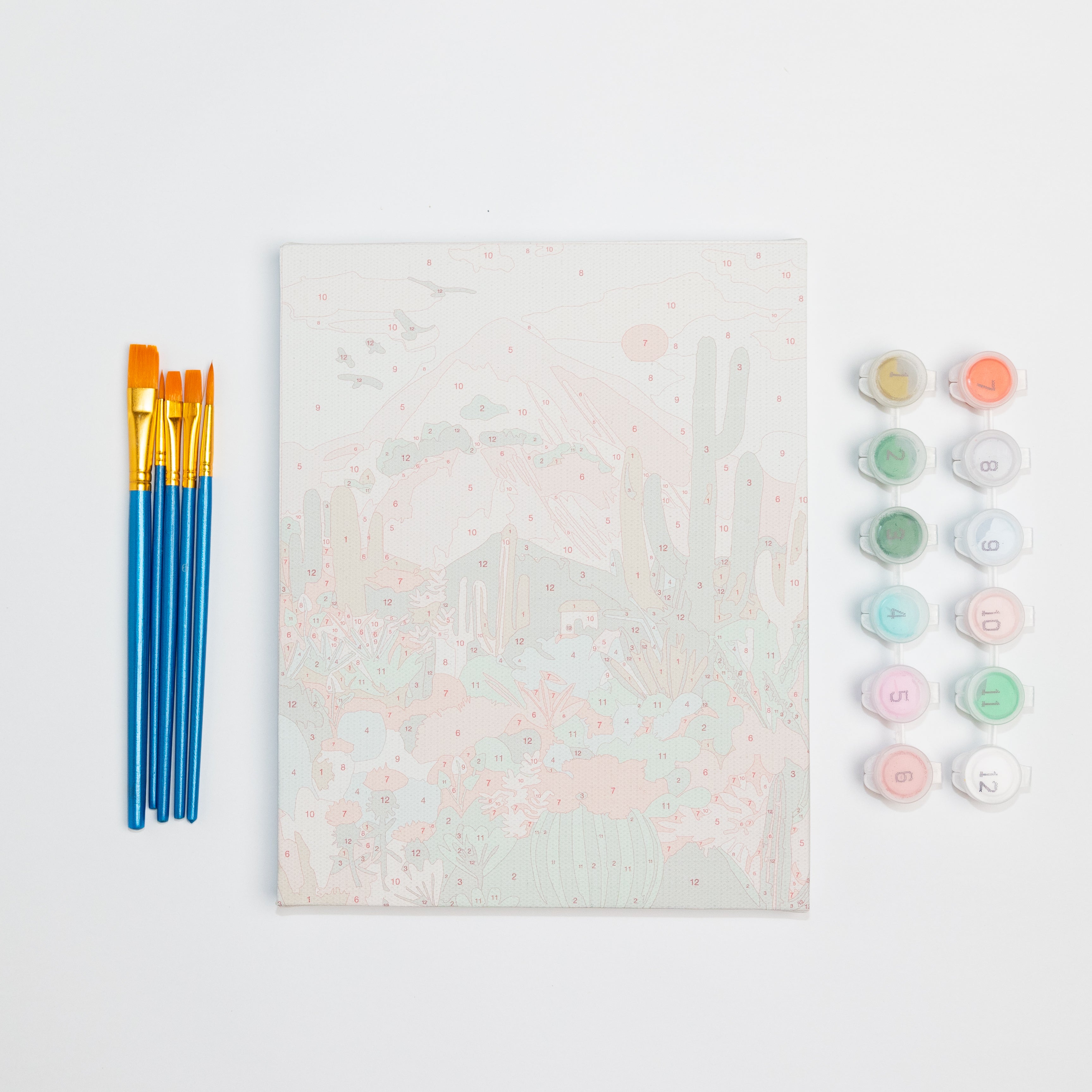Cactus Desert by Hebe Studio Paint by Numbers Framed Mini