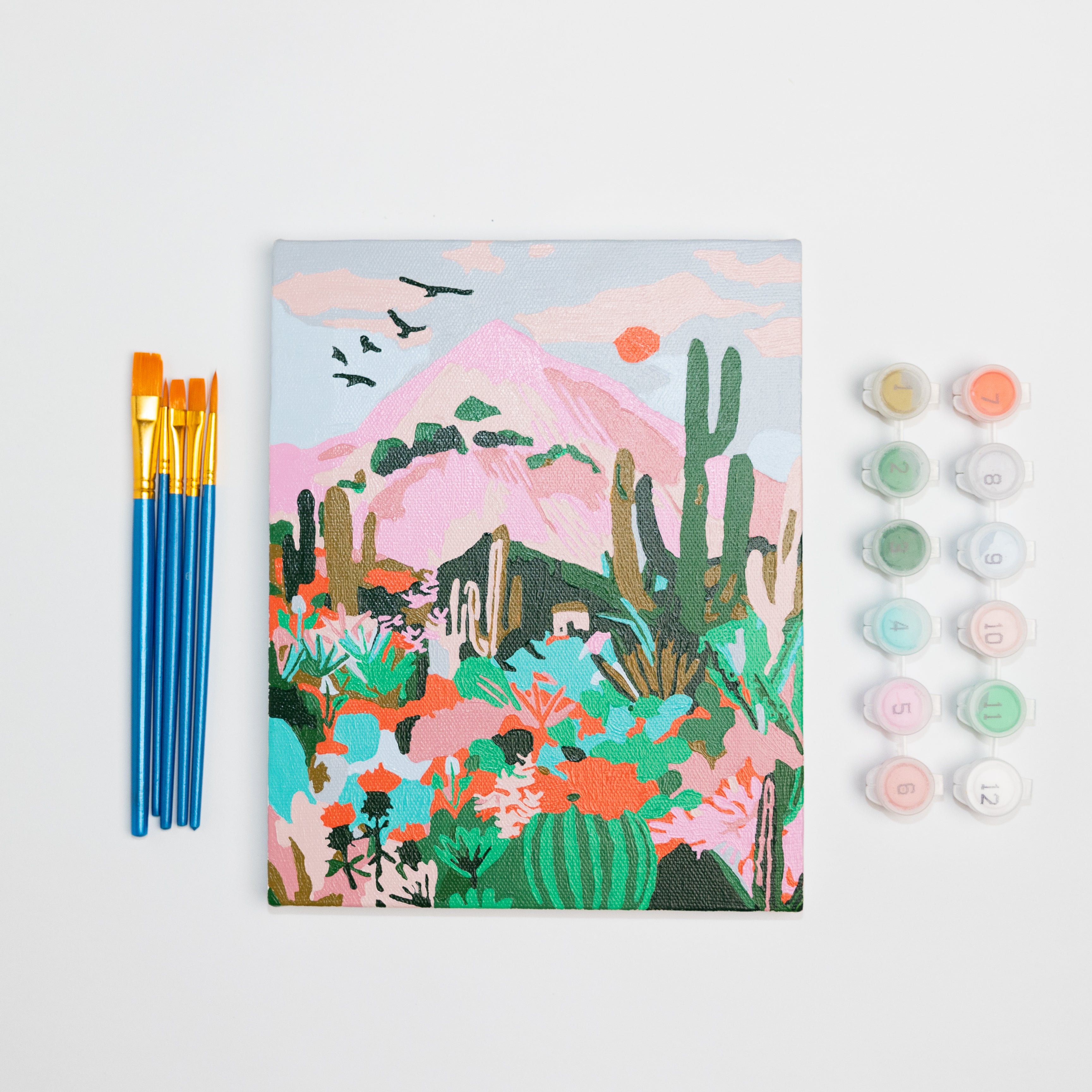 Cactus Desert by Hebe Studio Paint by Numbers Framed Mini