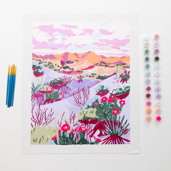 Death Valley by Sarah Gesek Paint by Numbers Deluxe