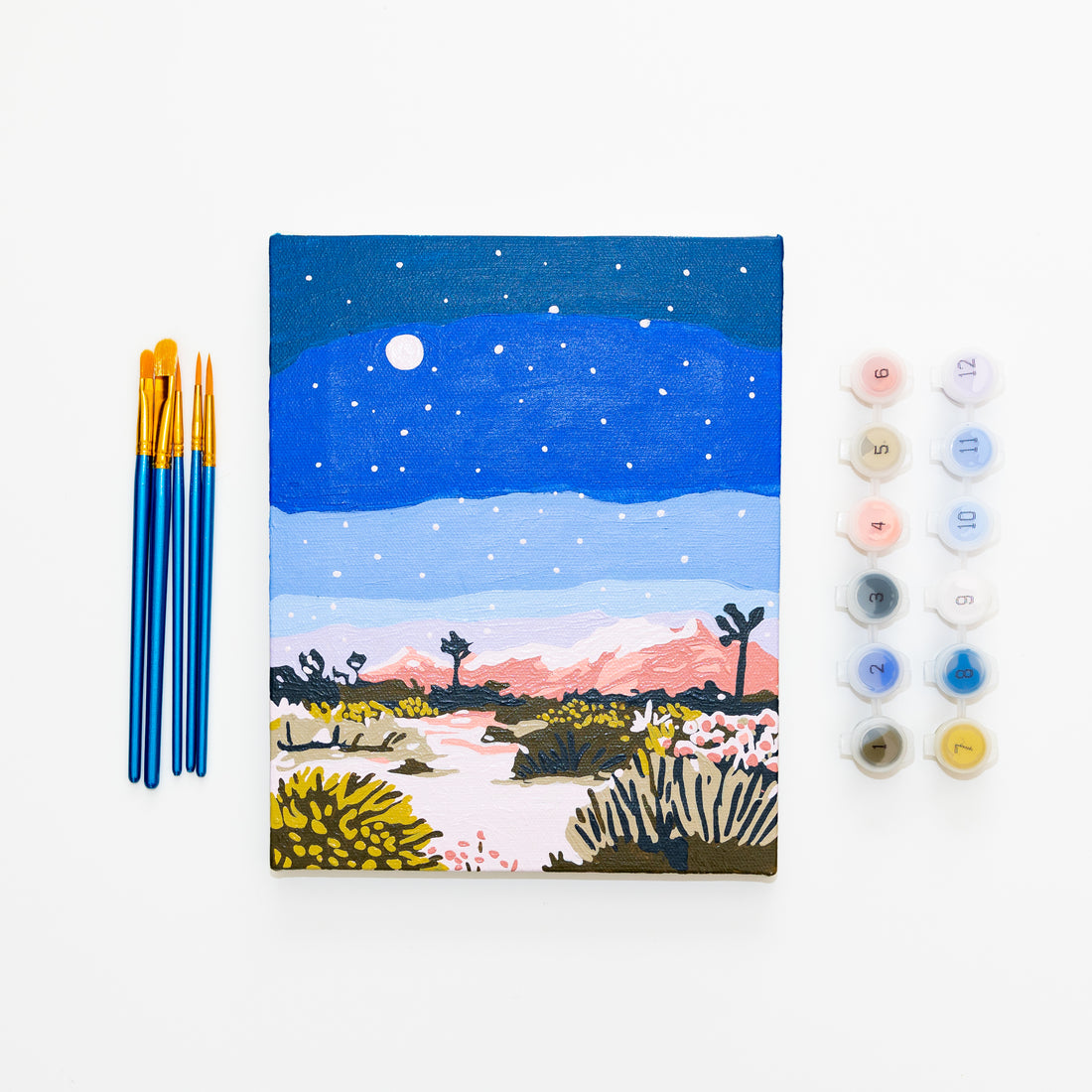 Joshua Tree at Night by Sarah Gesek Paint by Numbers Framed Mini
