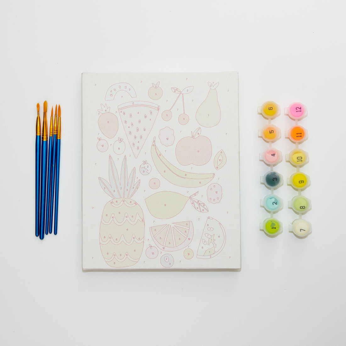 Fruitiest Fruits by Darcie Olley Paint by Numbers for Kids Framed Mini