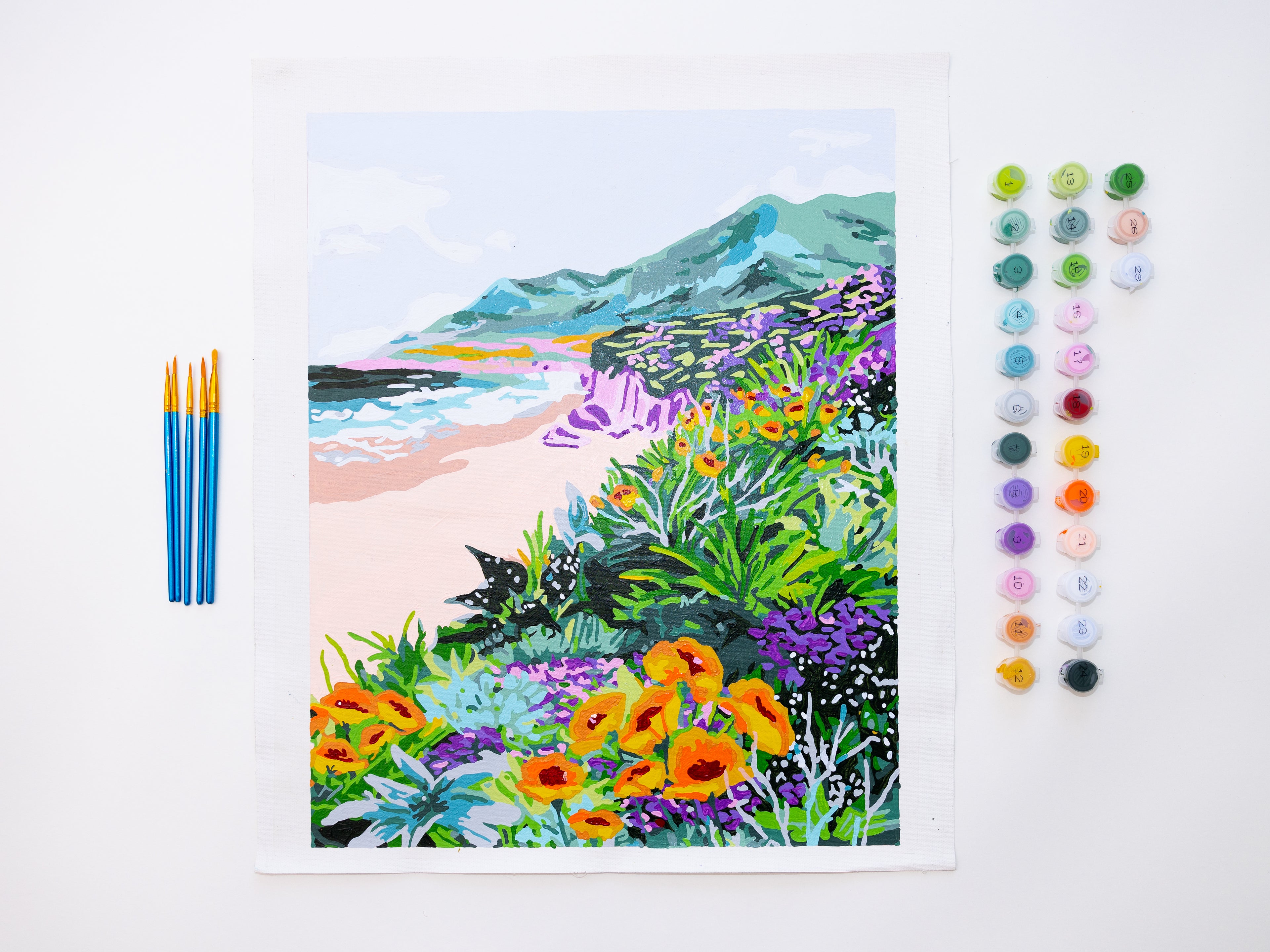 Coastal Bluffs by Sarah Gesek Paint by Numbers Deluxe